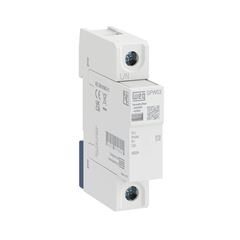 DPS 1P 20KA