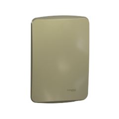 MILUZ CONJ PLACA CEGA 4X2 + SUPORTE DOU